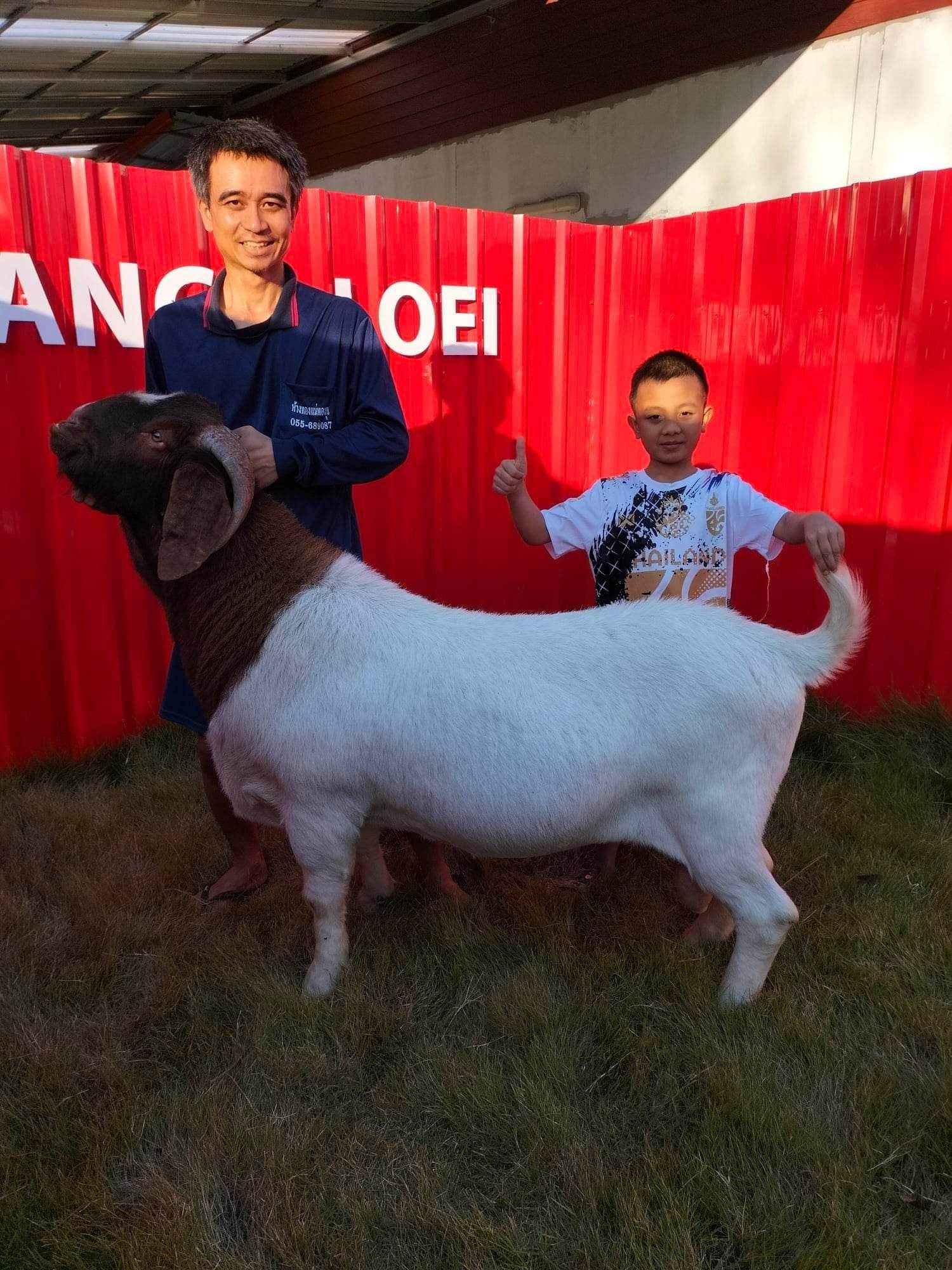 boy